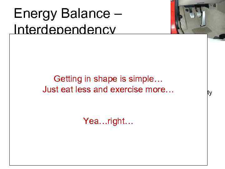 Energy Balance – Interdependency The metabolic gas pedal… -Increase or decrease food intake -You