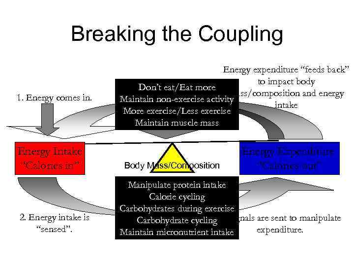 Breaking the Coupling 1. Energy comes in. Energy Intake “Calories in” 2. Energy intake