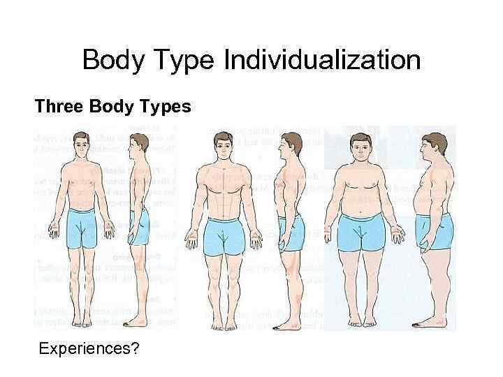 Body Type Individualization Three Body Types Ectomorphic (lean, thin, small joints, fast metabolism) Mesomorphic