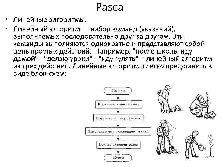 Линейные алгоритмы самостоятельная работа 8 класс