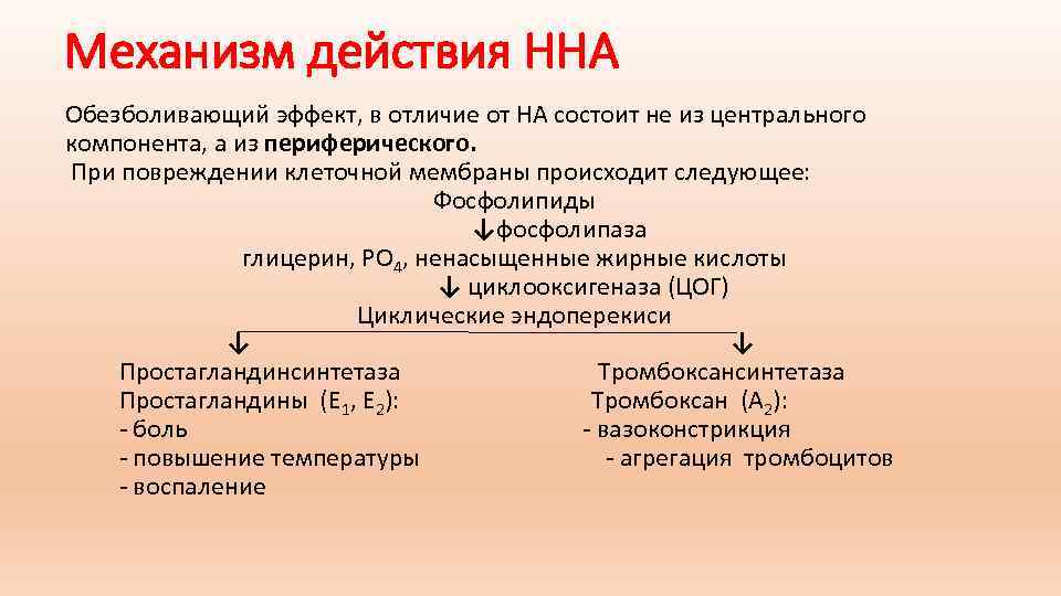 Механизм действия ННА Обезболивающий эффект, в отличие от НА состоит не из центрального компонента,