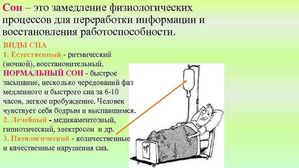 Сон – это замедление физиологических процессов для переработки информации и восстановления работоспособности. ВИДЫ СНА