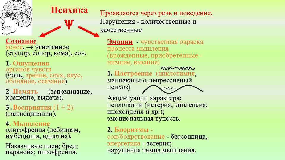 Психика Сознание ясное, угнетенное (ступор, сопор, кома), сон. 1. Ощущения органов чувств (боль, зрение,