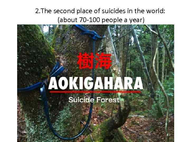 2. The second place of suicides in the world: (about 70 -100 people a