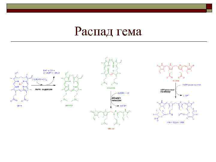 Распад гема 
