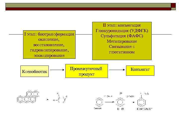I этап: биотрансформация окисление, восстановление, гидроксилирование, эпоксдирование Ксенобиотик II этап: конъюгация Глюкуронидация (УДФГК) Сульфатация