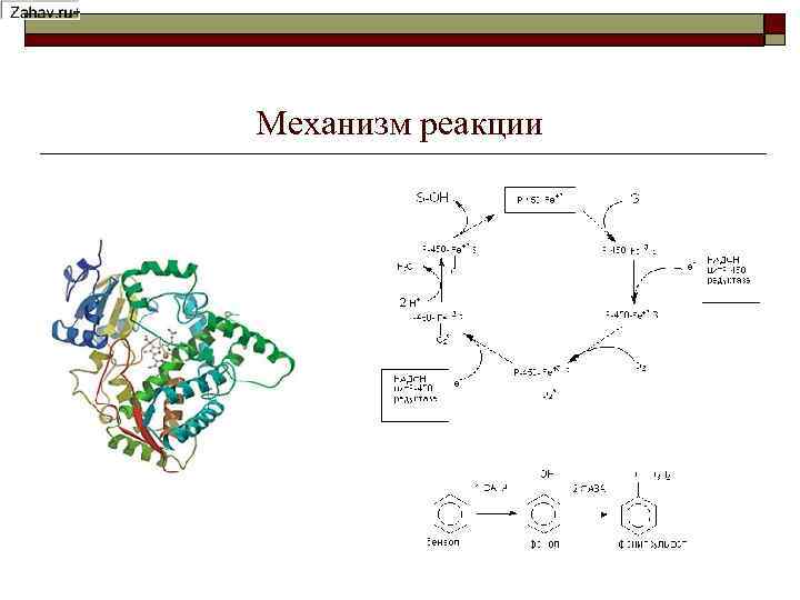 Механизм реакции 