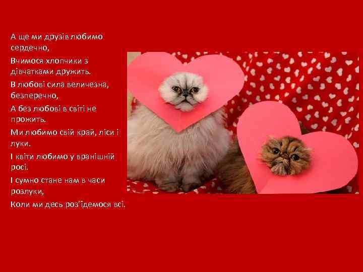 А ще ми друзів любимо сердечно, Вчимося хлопчики з дівчатками дружить. В любові сила