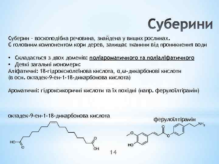 Суберин – воскоподібна речовина, знайдена у вищих рослинах. Є головним компонентом кори дерев, захищає