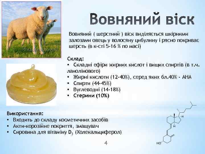Вовняний ( шерстний ) віск виділяється шкірними залозами овець у волосяну цибулину і рясно