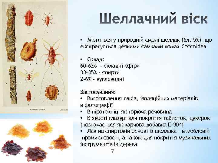  • Міститься у природній смолі шеллак (бл. 5%), що екскретується деякими самками комах