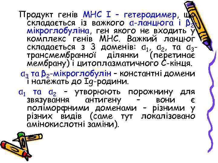 Продукт генів МНС І – гетеродимер, що складається із важкого α-ланцюга і β 2