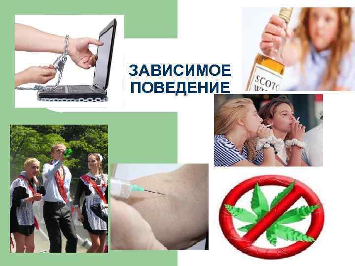 ЗАВИСИМОЕ ПОВЕДЕНИЕ 