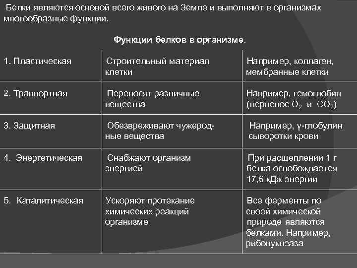  Белки являются основой всего живого на Земле и выполняют в организмах многообразные функции.