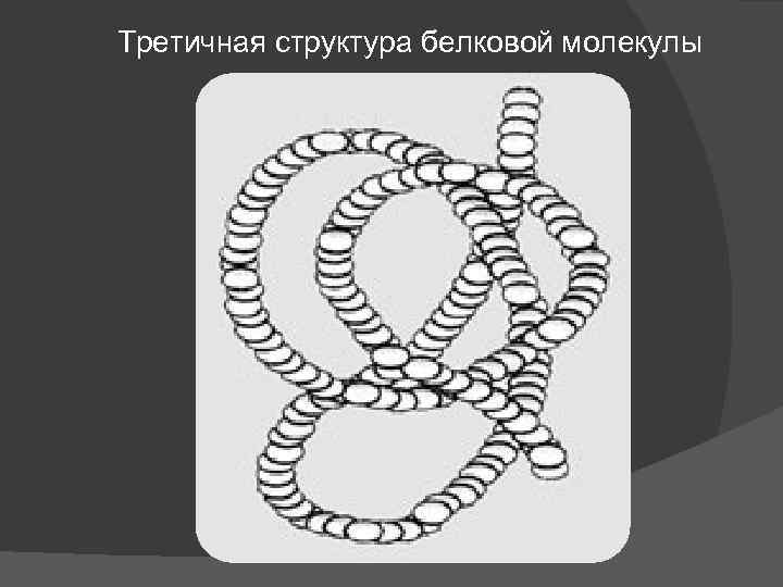 Рисунок третичной структуры белка