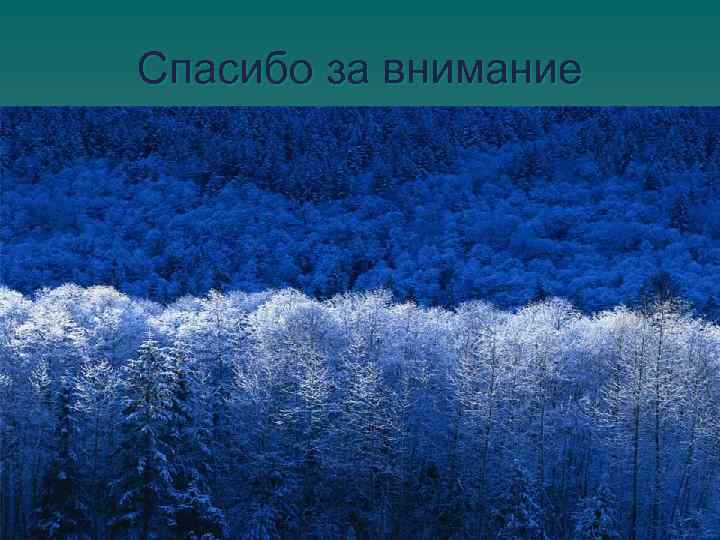 Спасибо за внимание 