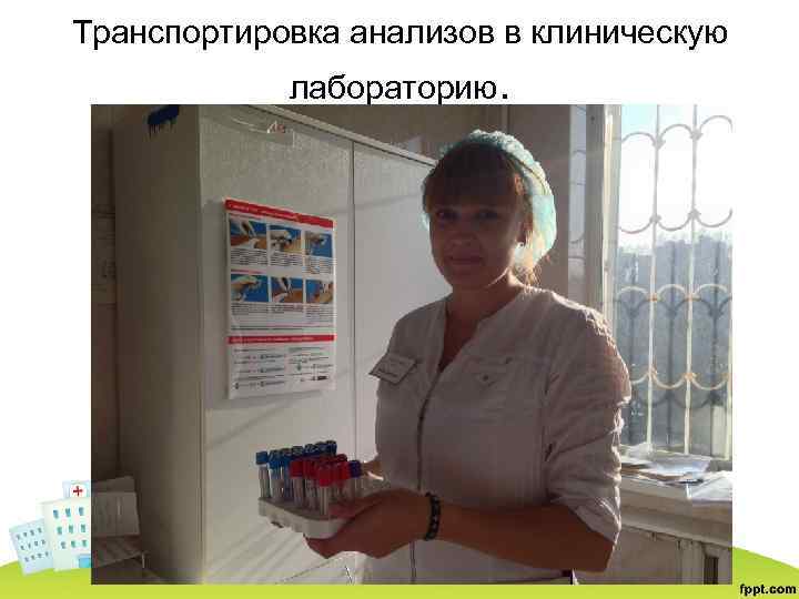 Транспортировка анализов в клиническую лабораторию. 