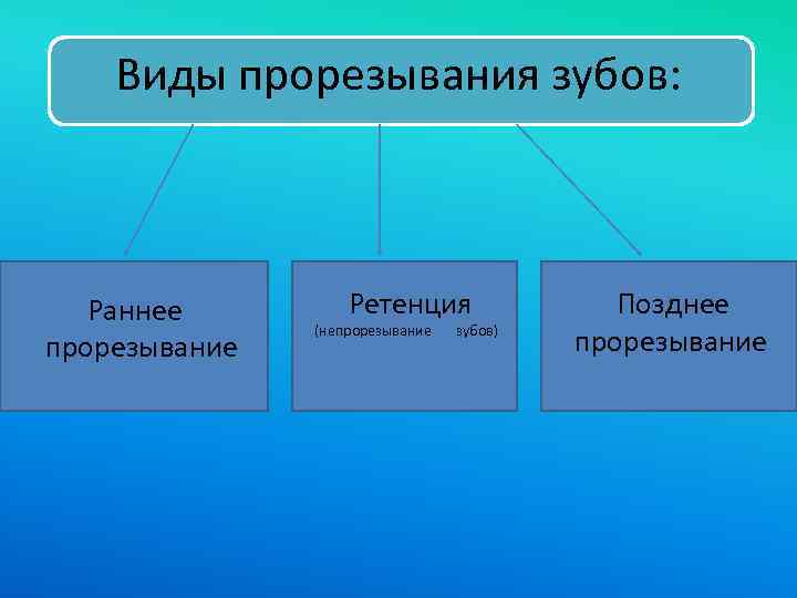 Виды прорезывания зубов: Раннее прорезывание Ретенция (непрорезывание зубов) Позднее прорезывание 