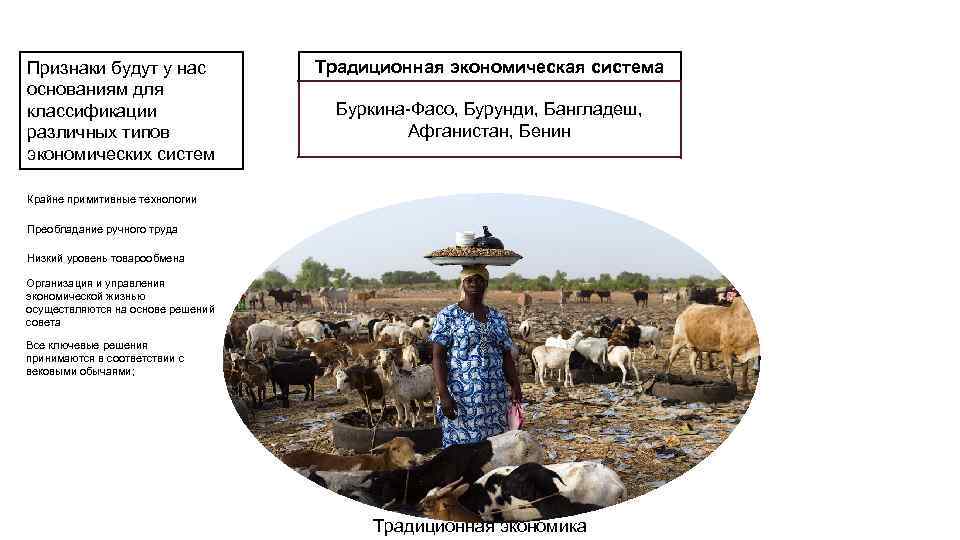 Признаки будут у нас основаниям для классификации различных типов экономических систем Традиционная экономическая система