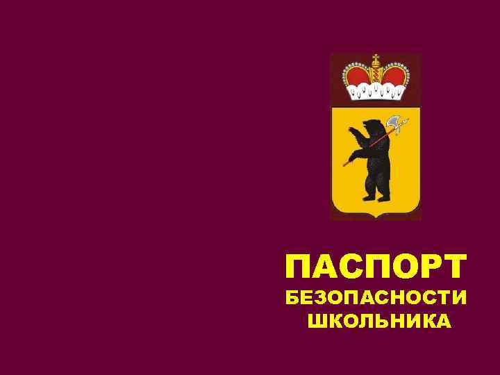 ПАСПОРТ БЕЗОПАСНОСТИ ШКОЛЬНИКА 