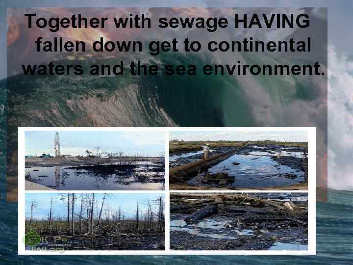 Together with sewage HAVING fallen down get to continental waters and the sea environment.