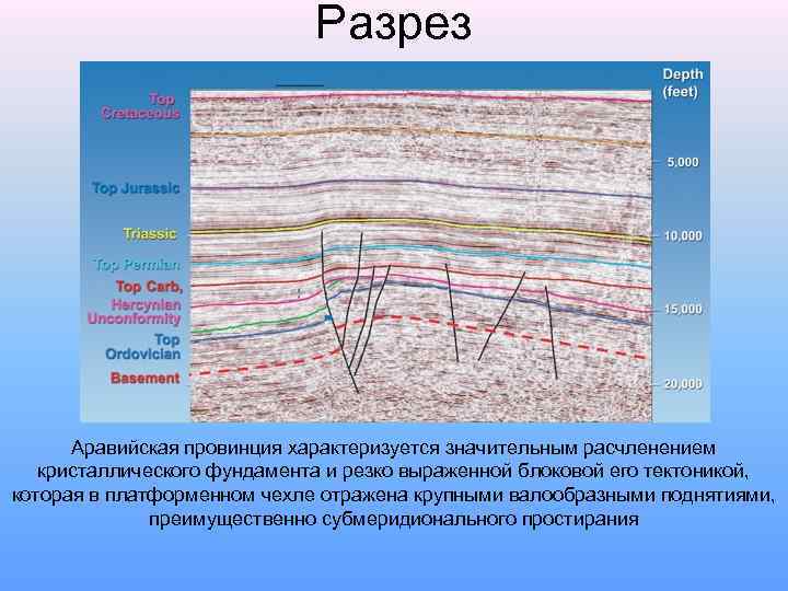 Разрез Аравийская провинция характеризуется значительным расчленением кристаллического фундамента и резко выраженной блоковой его тектоникой,
