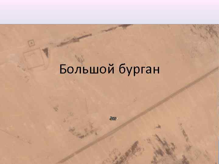 Большой бурган 