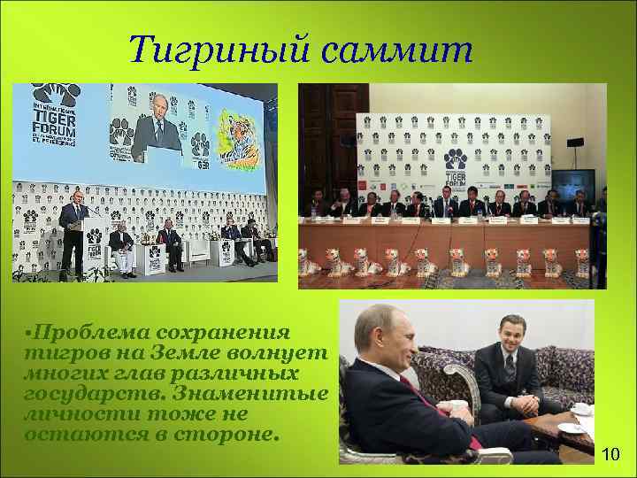 Тигриный саммит • Проблема сохранения тигров на Земле волнует многих глав различных государств. Знаменитые
