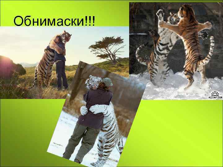 Обнимаски!!! 