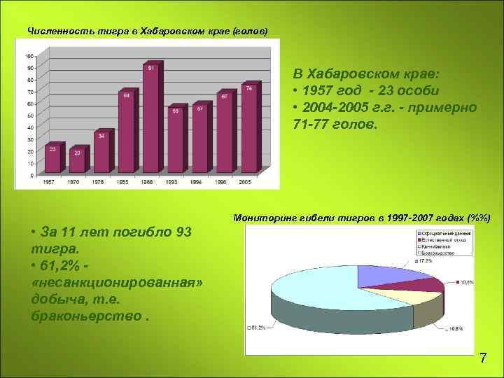 Численность тигра в Хабаровском крае (голов) В Хабаровском крае: • 1957 год - 23