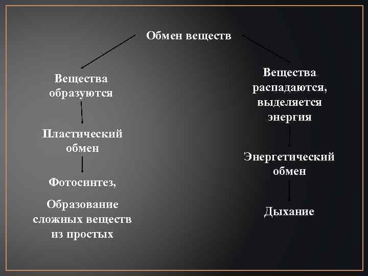 Обмен веществ Вещества образуются Пластический обмен Фотосинтез, Образование сложных веществ из простых Вещества распадаются,