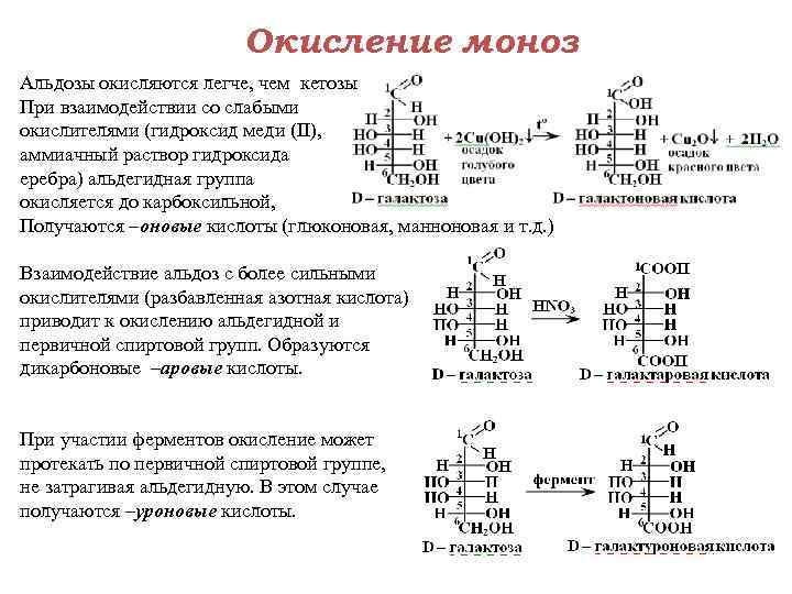 Окисление моноз Альдозы окисляются легче, чем кетозы При взаимодействии со слабыми окислителями (гидроксид меди