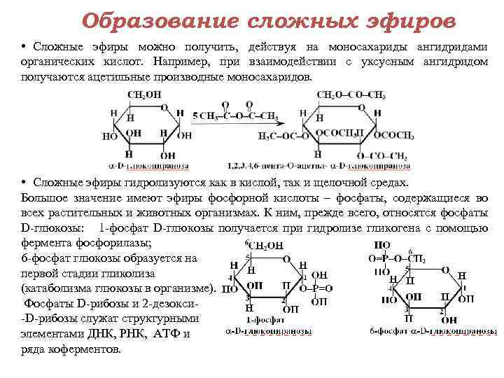 Образование сложных эфиров • Сложные эфиры можно получить, действуя на моносахариды ангидридами органических кислот.