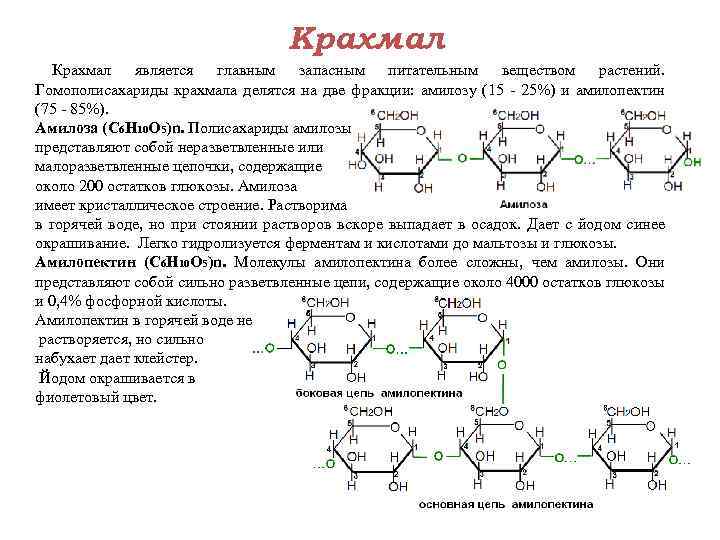 Крахмал является главным запасным питательным веществом растений. Гомополисахариды крахмала делятся на две фракции: амилозу