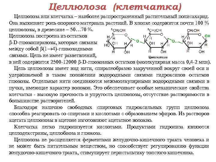 Целлюлоза (клетчатка) Целлюлоза или клетчатка – наиболее распространенный растительный полисахарид. Она выполняет роль опорного