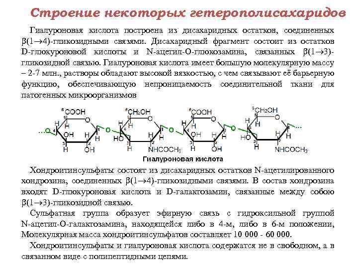 Строение некоторых гетерополисахаридов Гиалуроновая кислота построена из дисахаридных остатков, соединенных (1 4) гликозидными связями.