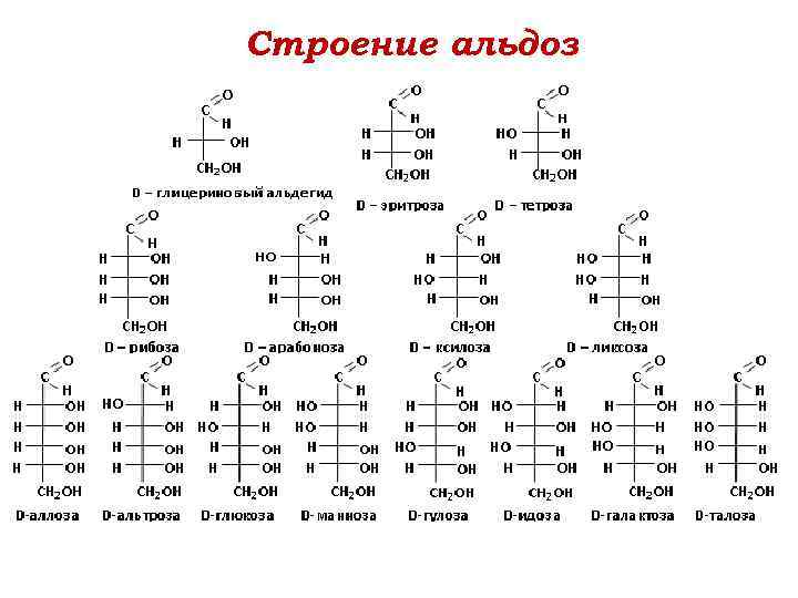 Строение альдоз 