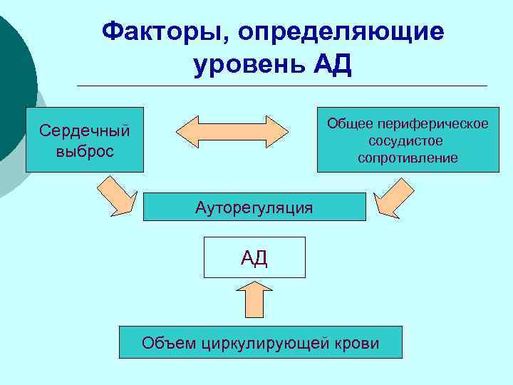 Сердечный определение. Факторы влияющие на сердечный выброс. Величина сердечного выброса зависит от. Факторы влияющие на величину сердечного выброса. Сердечный выброс определяет уровень артериального давления.