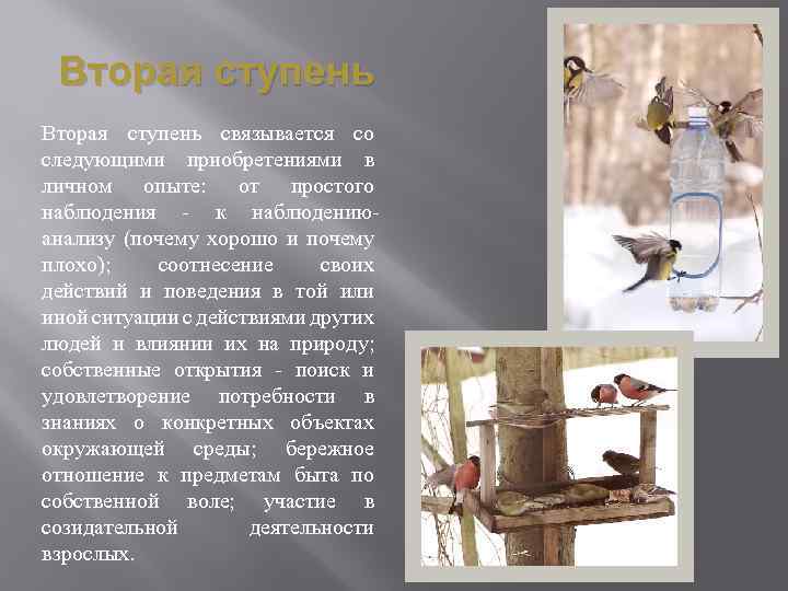 Вторая ступень связывается со следующими приобретениями в личном опыте: от простого наблюдения - к