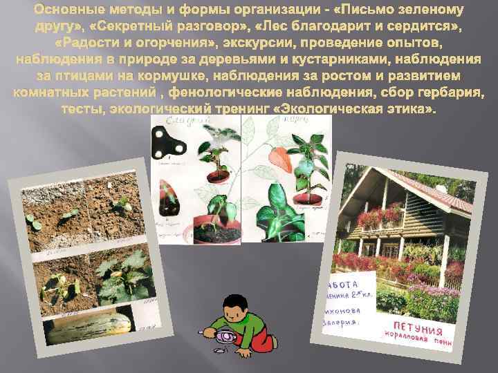 Основные методы и формы организации - «Письмо зеленому другу» , «Секретный разговор» , «Лес