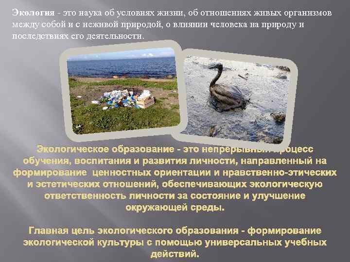 Экология - это наука об условиях жизни, об отношениях живых организмов между собой и