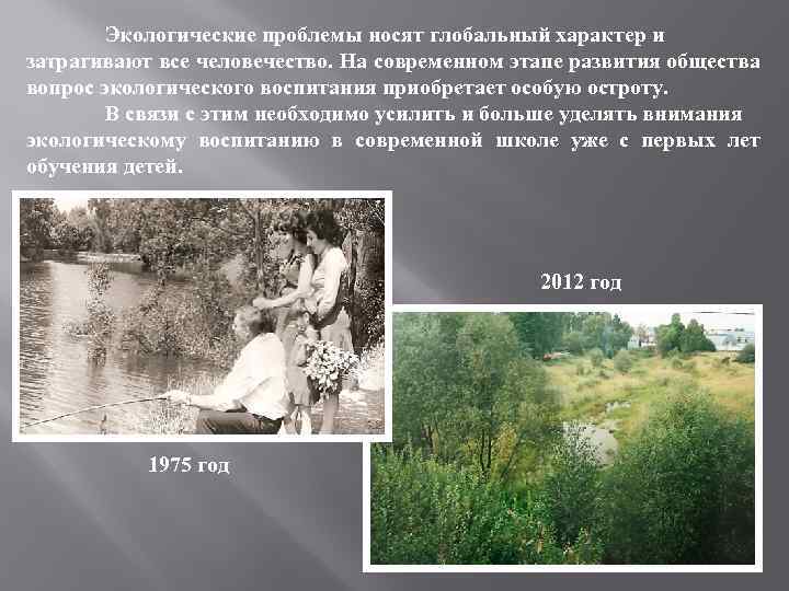 Экологические проблемы носят глобальный характер и затрагивают все человечество. На современном этапе развития общества