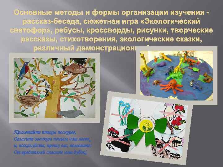 Основные методы и формы организации изучения рассказ-беседа, сюжетная игра «Экологический светофор» , ребусы, кроссворды,