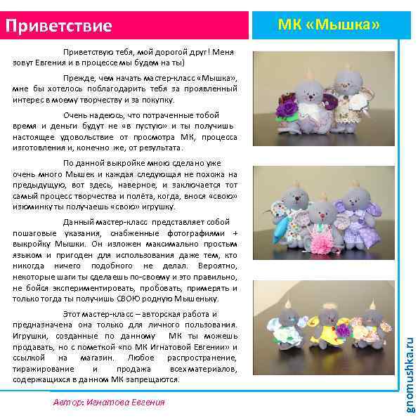 Приветствие МК «Мышка» Приветствую тебя, мой дорогой друг! Меня зовут Евгения и в процессе