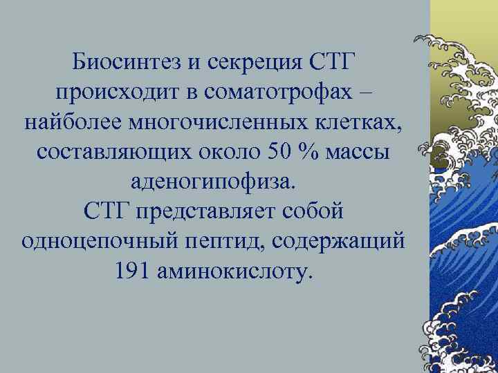 Биосинтез и секреция СТГ происходит в соматотрофах – найболее многочисленных клетках, составляющих около 50