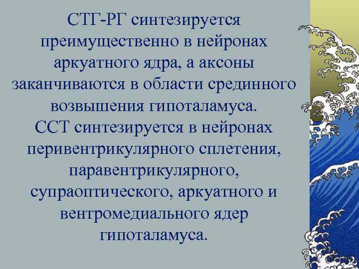 СТГ-РГ синтезируется преимущественно в нейронах аркуатного ядра, а аксоны заканчиваются в области срединного возвышения