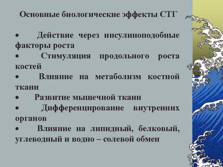 Основные биологические эффекты СТГ · Действие через инсулиноподобные факторы роста · Стимуляция продольного роста