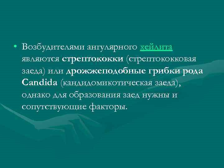  • Возбудителями ангулярного хейлита являются стрептококки (стрептококковая заеда) или дрожжеподобные грибки рода Candida