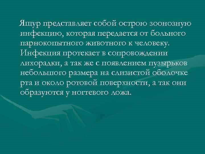 Ящур представляет собой острою зоонозную инфекцию, которая передается от больного парнокопытного животного к человеку.