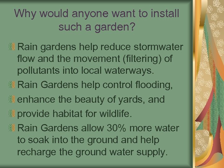 Why would anyone want to install such a garden? Rain gardens help reduce stormwater